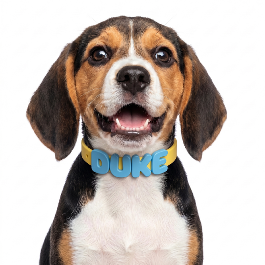 Lemon Collar