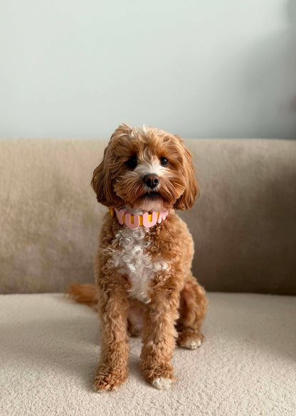 Lemon Collar