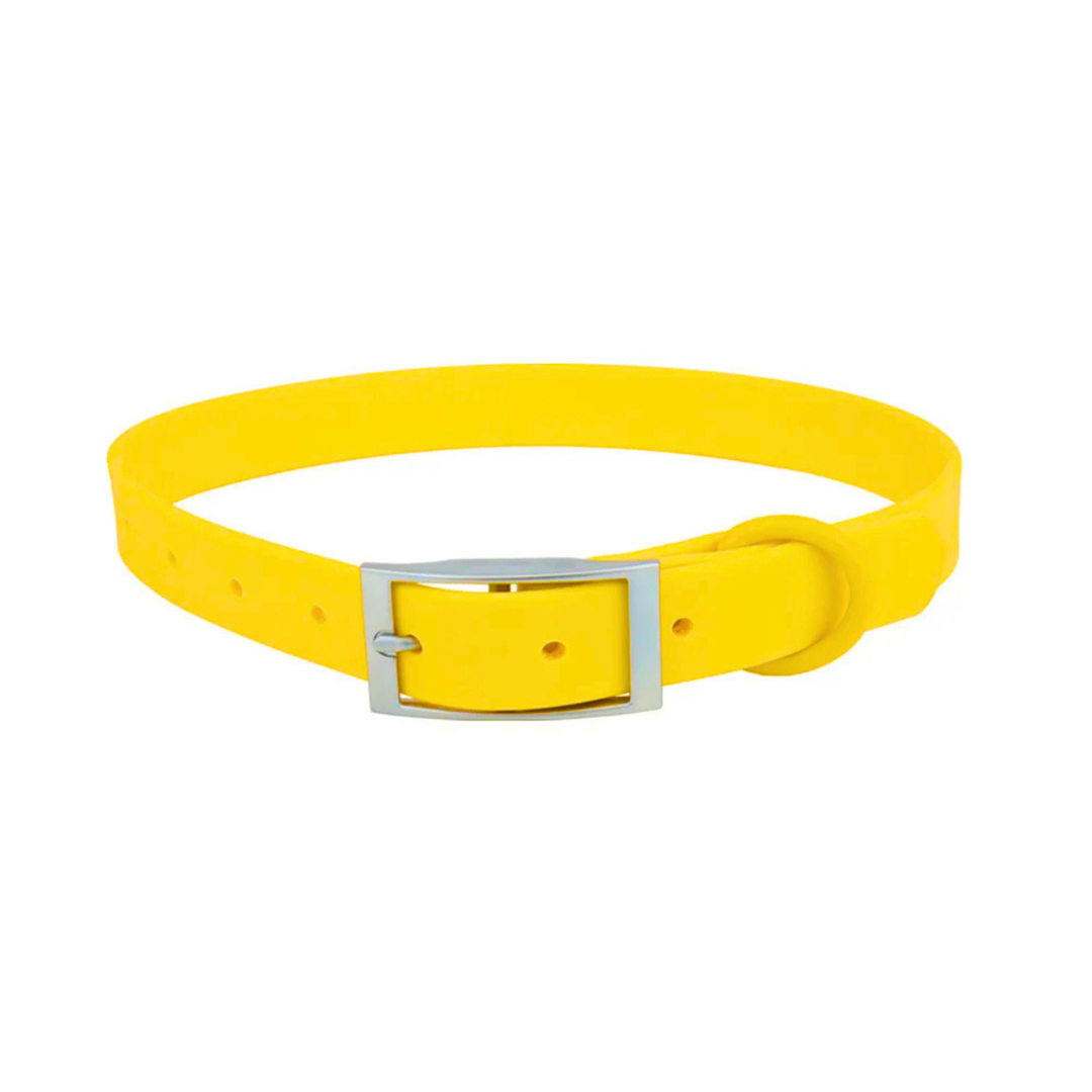 Lemon Collar